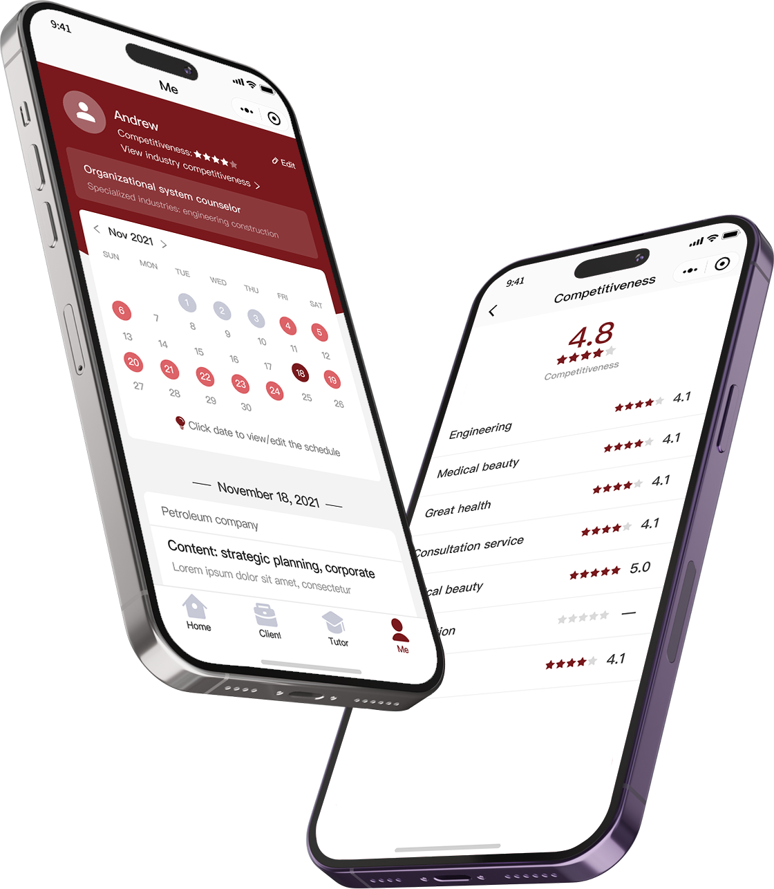 CS Consulting — aperçu application